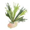 Kugusa Artificial Fake Green Air Plants Wall Hanging Artificial House