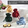 Audiofan Velour Drawstring Bag, Accessories, Storage, Jewelry Pouch, Velvet, Luxury,