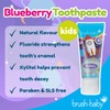 Brush-Baby Blueberry Toothpaste for Kids 3+ Years (Pack of 3