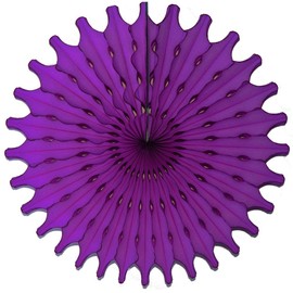 Devra Party 6-Pack 18 Inch Large Honeycomb Tissue Paper Fan (Purple)