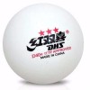 DHS 10x 3 Star DHS Table Tennis Balls D40+ ABS