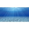 AWERT Undersea Theme Aquarium Background Sunshine Underwater World Fish Tank