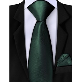 A&J DESIGN Boys Ties Necktie and Pocket Square Set Pre-Tied Zipper Tie for Wedding School Accessory Christmas Green 15 Inch