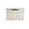 STAMFORD INC. 37322 Premium Aromatherapy Hex Range Incense Sticks -