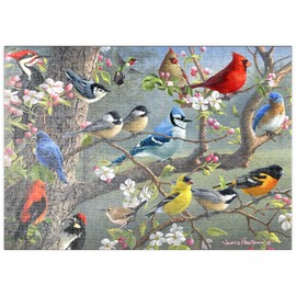MyPuzzle Colourful Birds in the Blossom Tree - Premium 500 Piece Puzzle - MyPuzzle Special Collection by Puzzle Galaxy