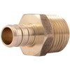 SharkBite 1/2 Inch Crimp MNPT Male Adapter, Brass Plumbing Fitting,