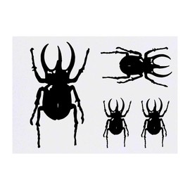 4 x 'Atlas Beetle' Temporary Tattoos - Water Resistant, Skin-Safe, Non-Toxic Transfers, Mixed Sizes (TO00011487)