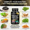 Himalayan Shilajit Supplement, 8-in-1 Blend with Ginseng & Ashwagandha for