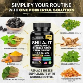 Himalayan Shilajit Supplement, 8-in-1 Blend with Ginseng & Ashwagandha for Everyday Energy & Vitality