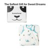 BubblePanda Rayon Made from Bamboo Sleep Sack 2t-3t 0.5 Tog