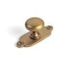 Goo-Ki Antique Brass Zinc Alloy Cabinet Knob with Backplate -