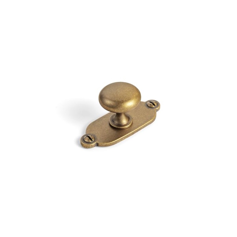 Goo-Ki Antique Brass Zinc Alloy Cabinet Knob with Backplate -