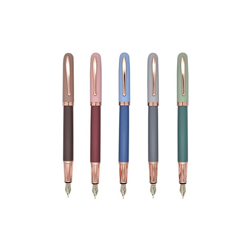 Juego de 5 plumas estilográficas, diseño clásico con convertidor, puntas