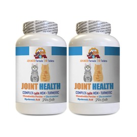 cat Joint Support - Cats Turmeric Joint Health Complex - Supports Hip and Joint AID - msm for Cats - 2 Bottles (120 Tablets)