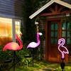 Solar Flamingo Garden Stake Lights for Outdoor Decor – 3