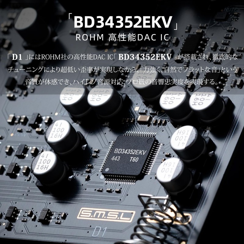 S.M.S.L D1 D/A Converter, High Resolution Compatible, ROHM High Performance