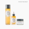 Vegetaology [Vegetology] ★Daily basic package★ Viniferin brightening freckle ampoule 50ml + water essence 150ml + cream 50ml / [베지톨로지] ★데일리기초 패키지★ 비니페린 브라이트닝 기미앰플 50ml+워터 에센스 150ml+크림 50ml