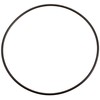 Zodiac Genuine Parts LM3 Cell O-Ring, W150181