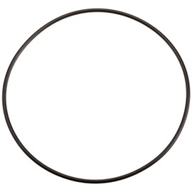 Zodiac Genuine Parts LM3 Cell O-Ring, W150181