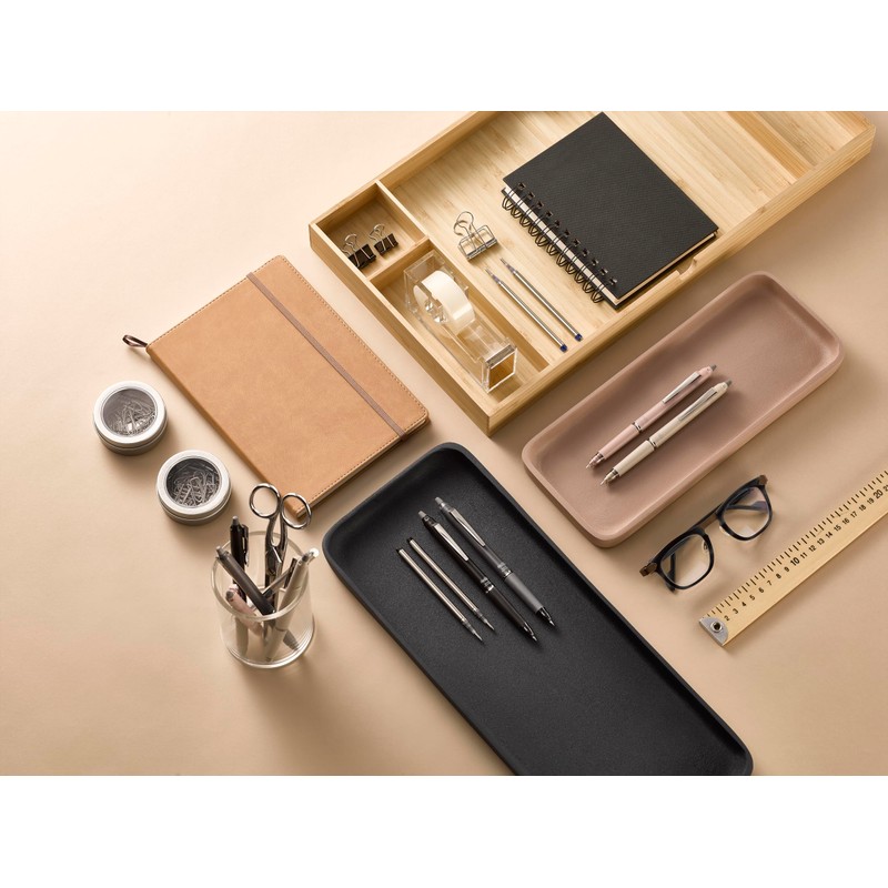 PILOT - Frixion Ball Zone Grey in Gift box -