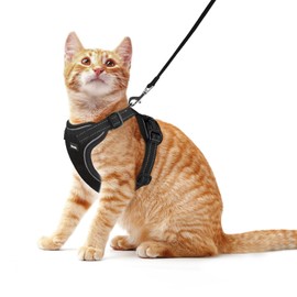 Rttochfy Cat Harness and Leash Set, Adjustable and Reflective Cat Vest, Escape Proof Kitten Harness, Easy to Put on with 3 Buckles for Cats Walking and Traveling (Black, L)