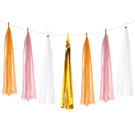 PATIKIL Tassel Garland Banner, 20Pcs Tissue Paper Tassels Party Decorations DIY Kits for Wedding Birthday Bridal Shower, White/Orange/Gold/Light Pink