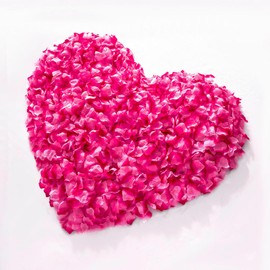 enttgo 1000Pieces Rose Petals, Artificial Flower Petals Fake Rose Petals Silk Red Rose Petals for Valentine's Day,Romantic Night,Wedding,Proposal Anniversary Flower Decorations (Peach Gradient)