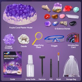 Gemstones Dig Kit, Dig Up 12 Fossils, Geode, Crystal Growing, STEM Geology Educational Toys for Boys&Girls Ages 3+, Science Rocks &Stones Excavation Kits for Kids Age 3 4 5 6 7 8