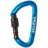 Salewa - Spike For Ice Axe , Groesse-Salewa:UNI, Farbe-Salewa:black