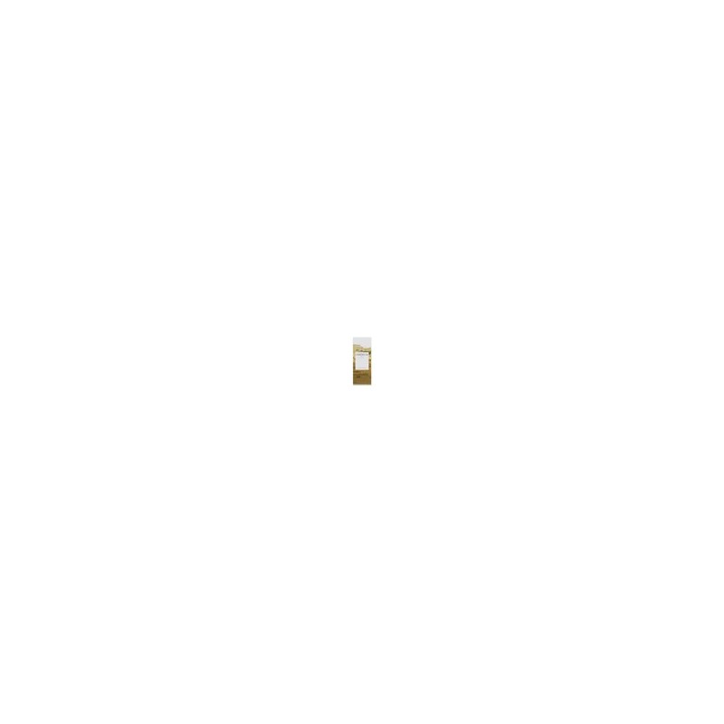 뷰티톤업 스킨천사 마다가스카르 센텔라 앰플 100ml Beauty Tone-Up Skin Angel