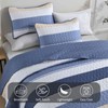 Dinjoy Blue King Size Quilt Set,Boho Summer Bedspread Beige Striped