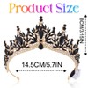 Kilshye Light Up Black Crown Rhinestone Gothic Tiara Festival Costume