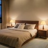 DRAWNCAT Rectangular Lamp Shade Set with 2 Lamp Harps –