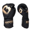 Booster Fightgear Boxing Gloves Bangkok Series 1