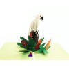 Handmade 3D Pop Up Greeting Card Handmade Parrot, Birthday, Christmas,