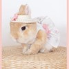 Rabbit Harness and Leash with Lovely Hat - Bunny Harness