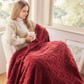 NEWCOSPLAY Super Soft Throw Blanket Red Premium Silky Flannel Fleece 3D Heart Checkered Lightweight Bed Blanket All Season Use (Red Heart, Throw(50"x70"))