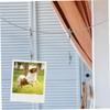 Zerodeko 1 Set Alligator Photo Clips with Hanging Wire for