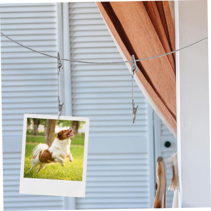 Zerodeko 1 Set Alligator Photo Clips with Hanging Wire for
