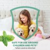 Peppermint Oil Insect & Spider Repellent Spray - All-Natural, Pet-Safe