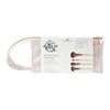 So Eco Natural Travel Brush Set