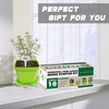 Meekear 10 Herb Seeds Garden Starter Grow Kit with Green