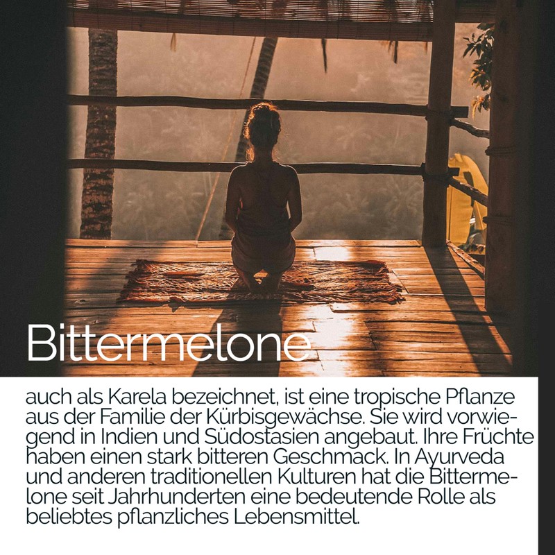 Bitter Melon Extract, 90 Capsules, High Dose + Highly Concentrated