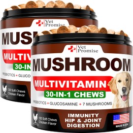 (2 Pack) Mushroom for Dogs - 340 Chews - Turkey Tail - Mushroom Supplement for Dogs - Lions Mane - Reishi - Immunity Support Multivitamin Vitamins - Joint Health - Energy - Gut - Skin - Made in USA