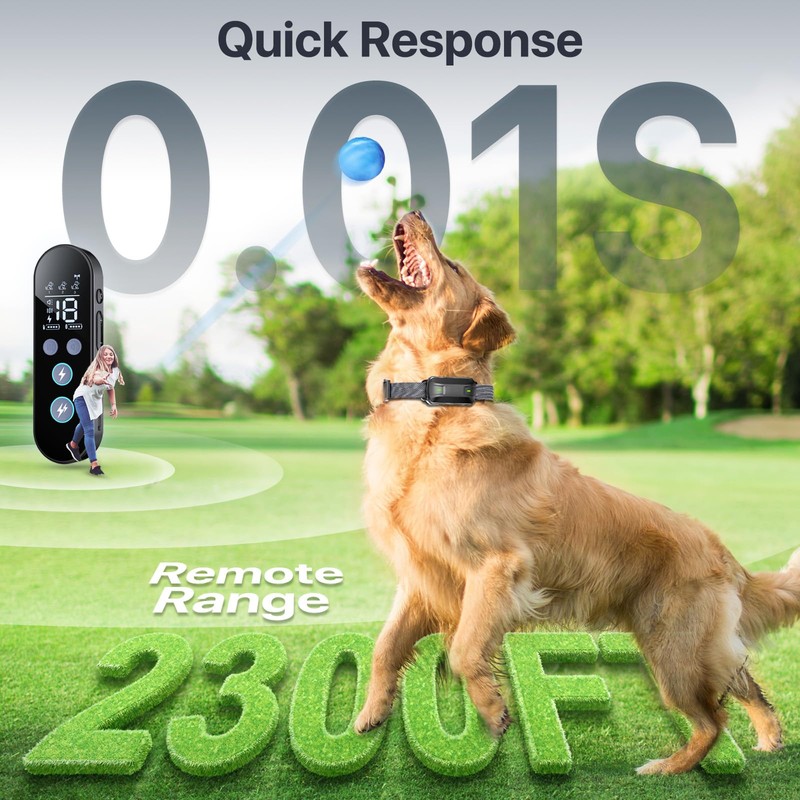 Dog Training Collar with Remote, Electric Dog Collar for Larege