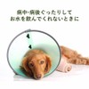 Flower Essence (DTW) [Environment Support Forpet] Flower Essence for Pets
