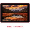 ClearView SmallHD Cine7 7 Inch Screen Protector Film Anti-Fingerprint Clear