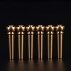 MAXCHEER 6Pcs Brass Acoustic Guitar Bridge Pins Guitar Strings Fixed