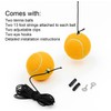 Firefly Auto 2-Pack Garage Parking Aid Tennis Ball on a