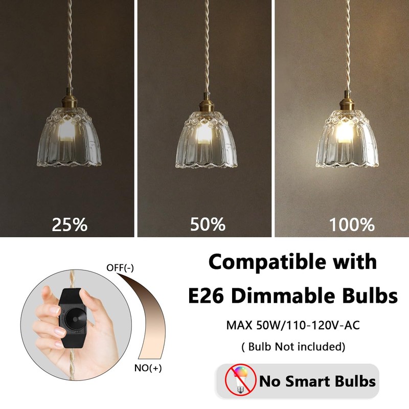 dareyu 6" Plug in Pendant Light, Vintage Mini Glass Hanging